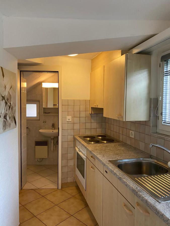 Casa Sibylle Studio - Piccolo Paradiso Minusio Exteriör bild