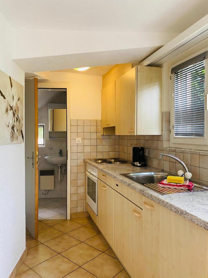 Casa Sibylle Studio - Piccolo Paradiso Minusio Exteriör bild