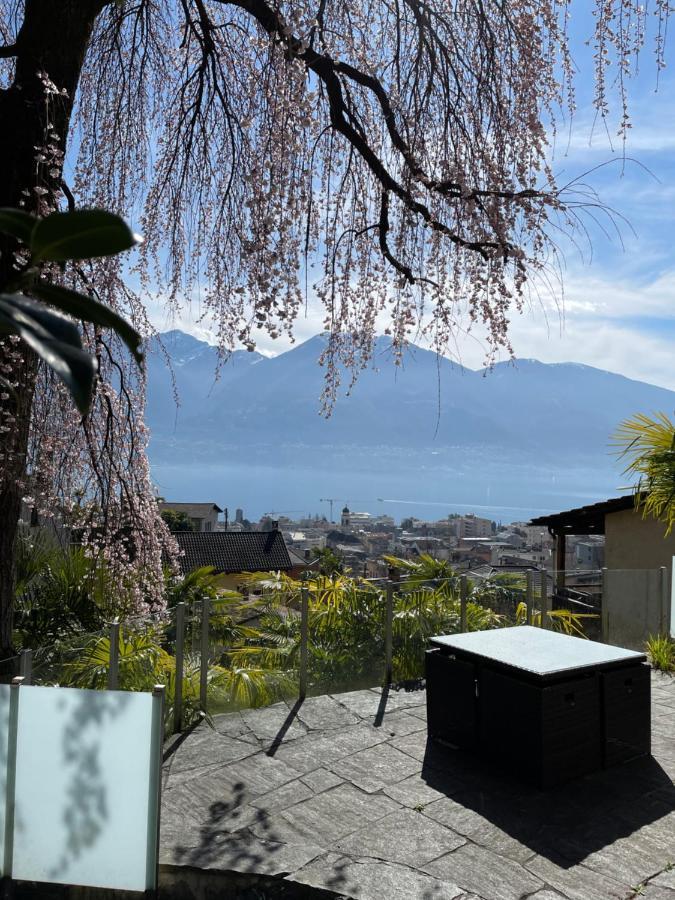 Casa Sibylle Studio - Piccolo Paradiso Minusio Exteriör bild