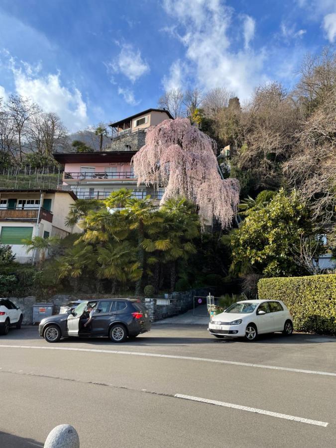 Casa Sibylle Studio - Piccolo Paradiso Minusio Exteriör bild